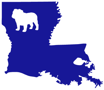 LA Tech Bulldog DTF Transfer