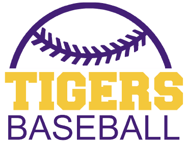 Tigers Baseball DTF Transfer