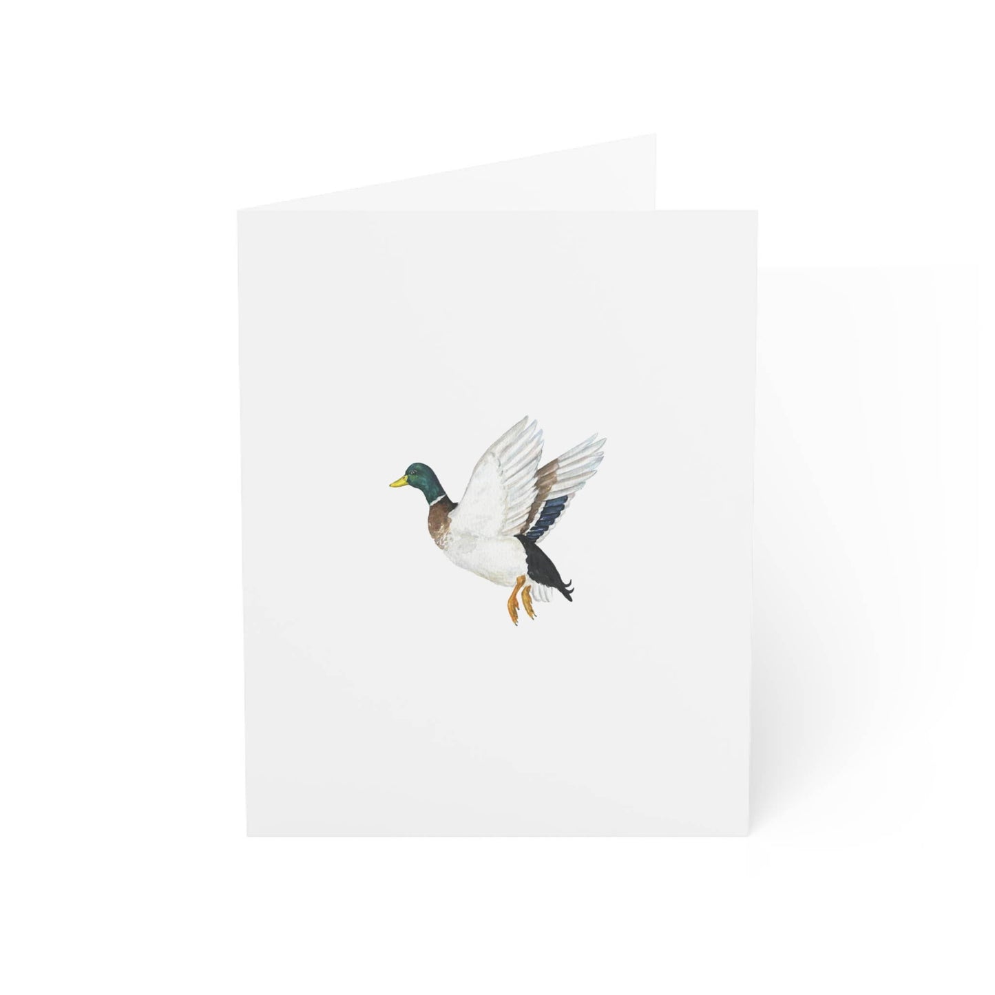 Mallard Greeting Card