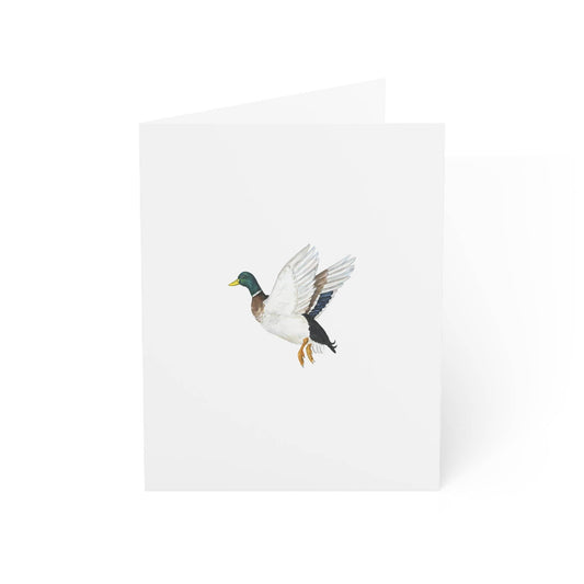 Mallard Greeting Card