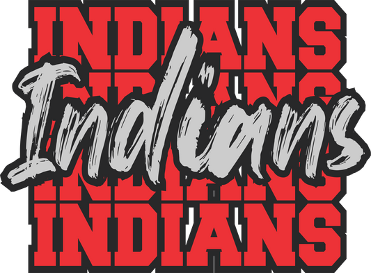 Indians Repeat DTF Transfer